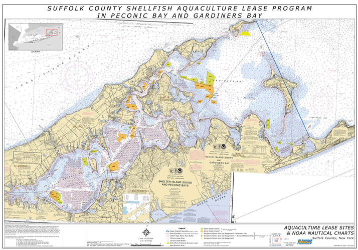 Oyster lease areas on Chart
