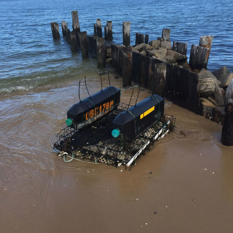 Runaway oyster cage that broke free and washed up on Napeague Bay